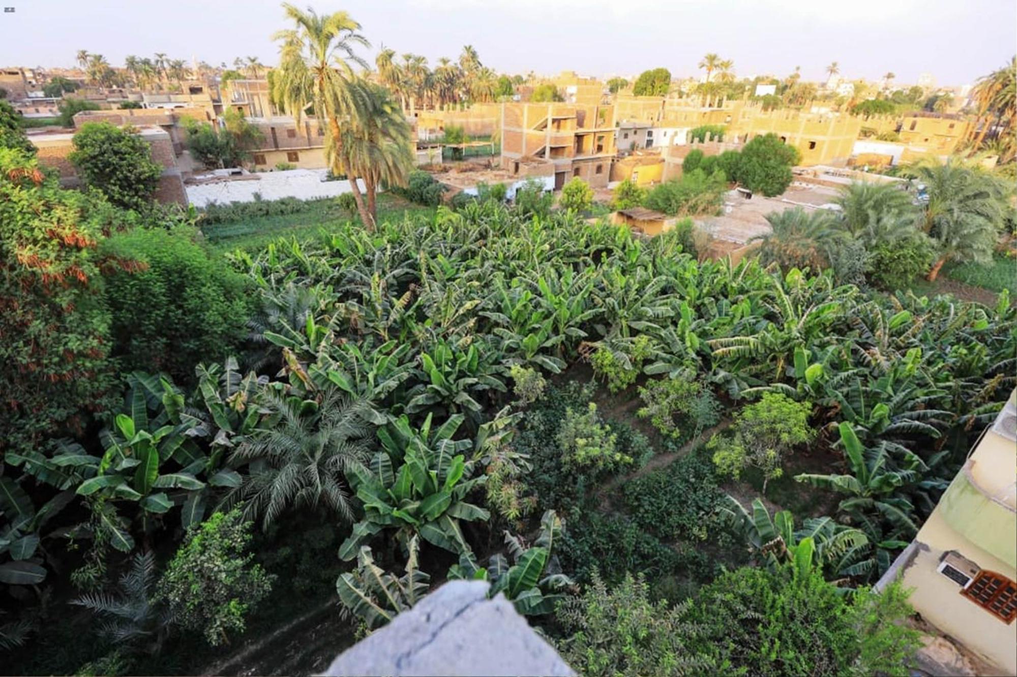 Luxor View Hostel Exterior photo