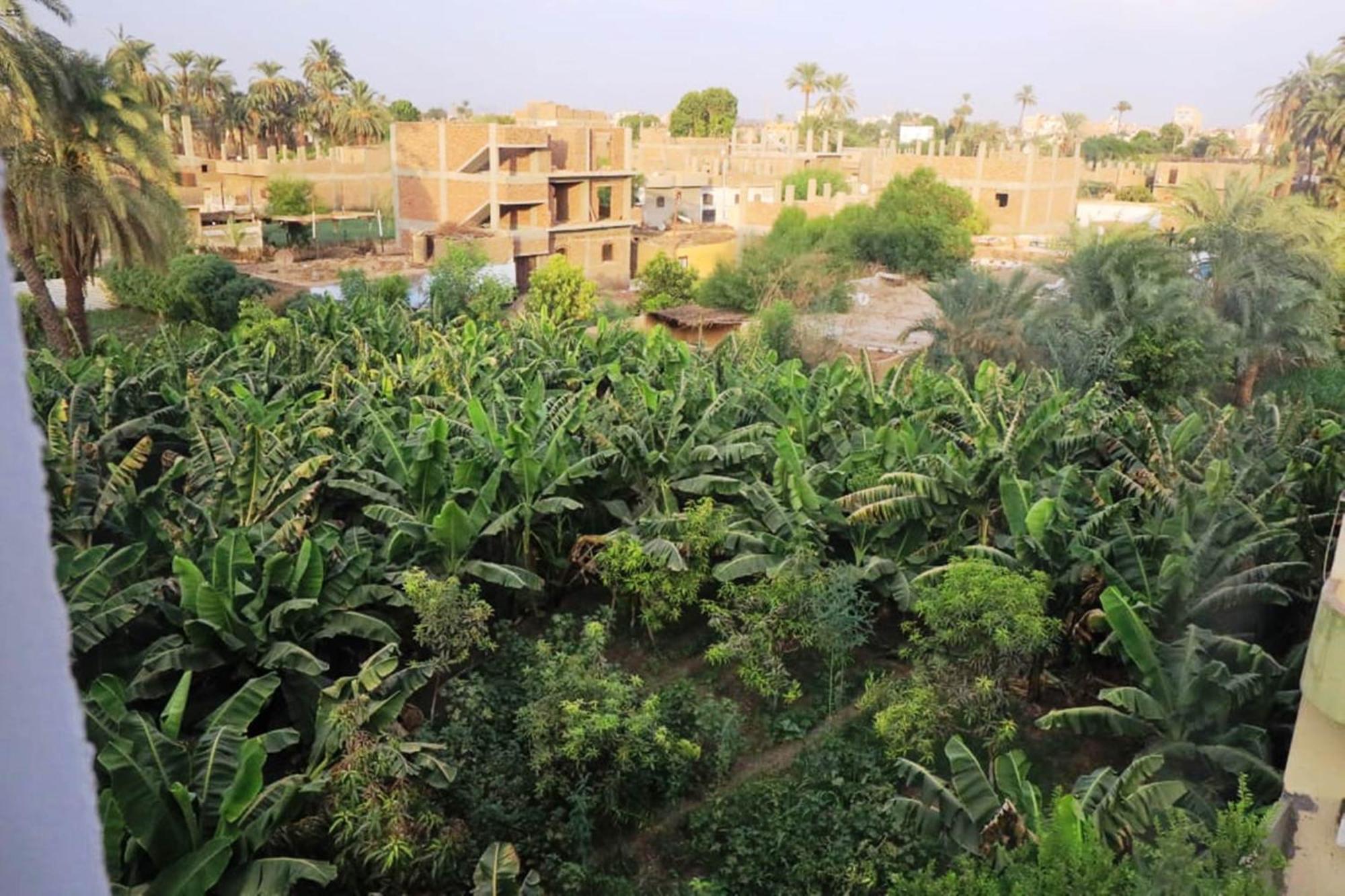 Luxor View Hostel Exterior photo